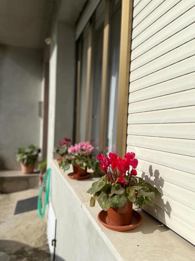 Apartamento Domuspes Sedilo Exterior foto